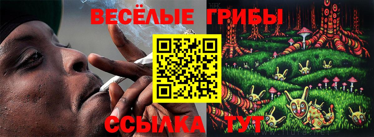 Благовещенск  Галлюциногенные грибы прущие грибы  наркошоп  Вход с VPN 